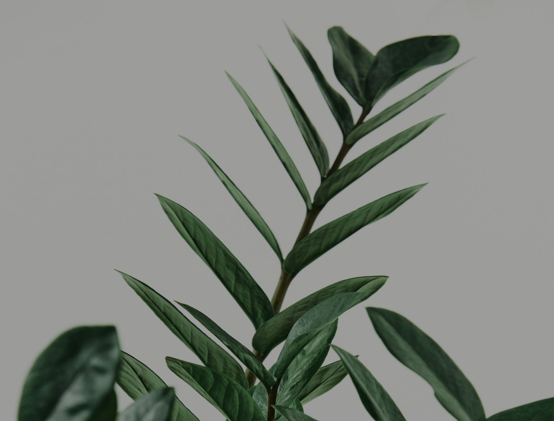 Decorative footer background